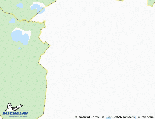 Carte MICHELIN Boglayevo - ViaMichelin