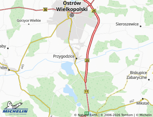 MICHELIN Przygodzice map - ViaMichelin