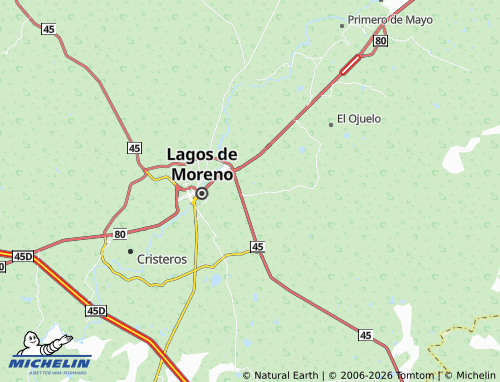 Mappa MICHELIN El Mezquital - ViaMichelin