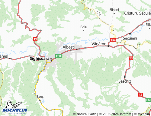MICHELIN Valea Albeștiului map - ViaMichelin