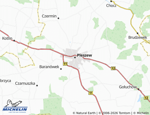 Carte MICHELIN Pleszew - ViaMichelin