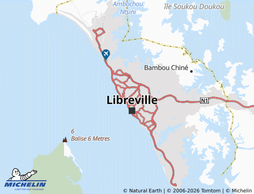 MICHELIN SDV map - ViaMichelin