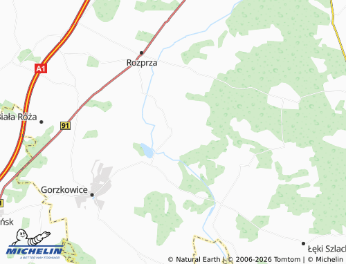 Carte MICHELIN Mierzyn - ViaMichelin