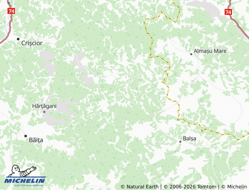 Mappa MICHELIN Bunești - ViaMichelin