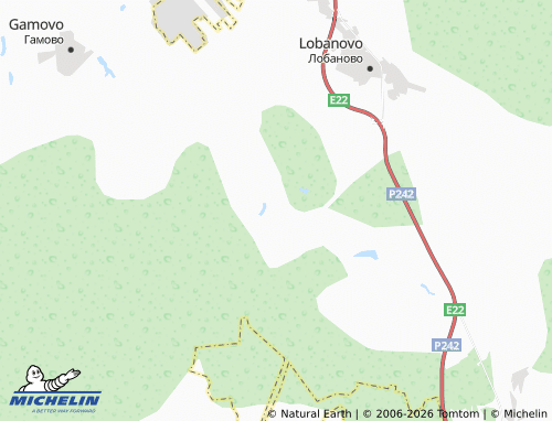 MICHELIN-Landkarte Kasimovo - ViaMichelin