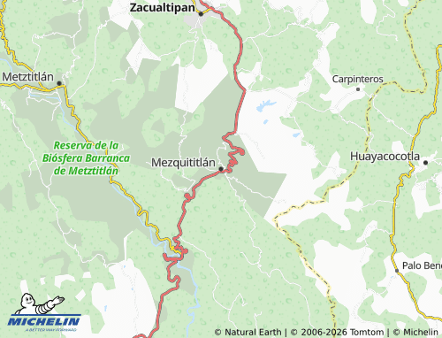 Mapa MICHELIN Mezquititlán - ViaMichelin