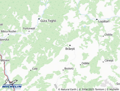 MICHELIN Ruginoasa map - ViaMichelin