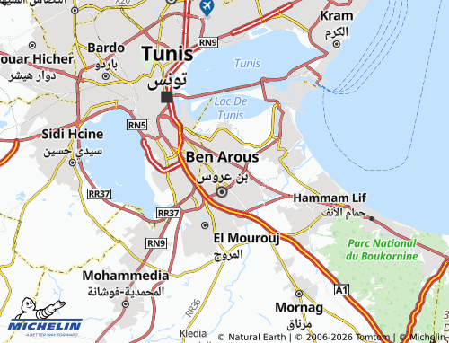 Mappa MICHELIN Bin Arous al-Sharqiyyah - ViaMichelin