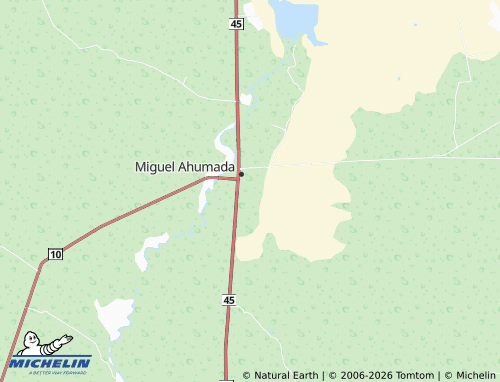 MICHELIN Infonavit map - ViaMichelin