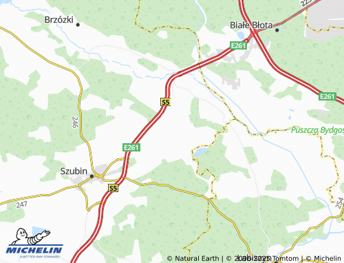 MICHELIN Skórzewo map - ViaMichelin