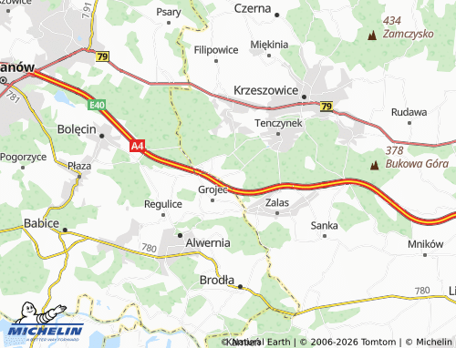 MICHELIN Rudno map - ViaMichelin