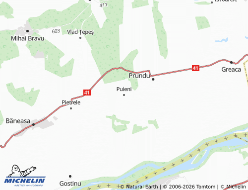 MICHELIN Puieni map - ViaMichelin