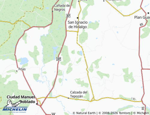 Mappa MICHELIN El Tecuán - ViaMichelin
