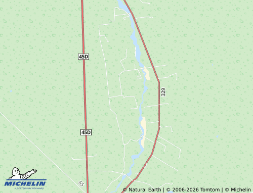 Mappa MICHELIN Nuevo Saucillo - ViaMichelin