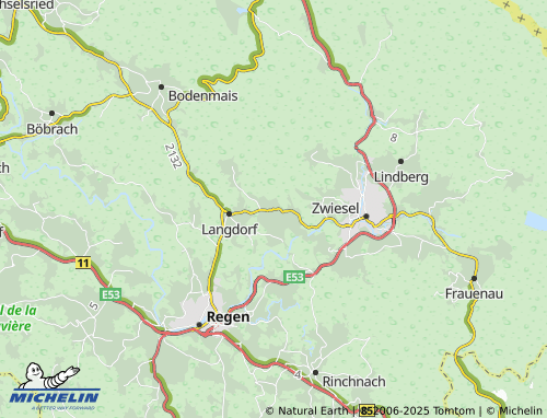 MICHELIN Schwarzach map - ViaMichelin