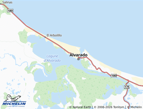 Mapa MICHELIN El Pantanal - ViaMichelin
