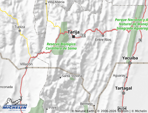 MICHELIN Aniceto Arce map - ViaMichelin