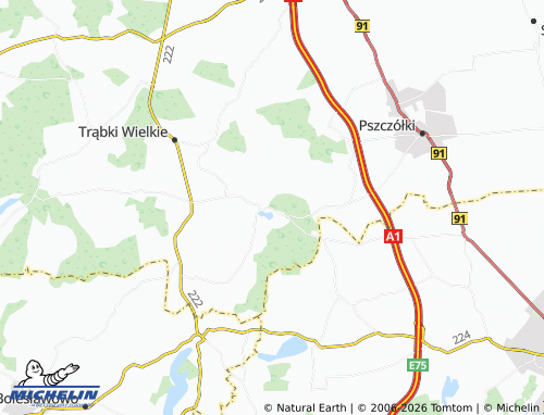 MICHELIN Sobowidz map - ViaMichelin