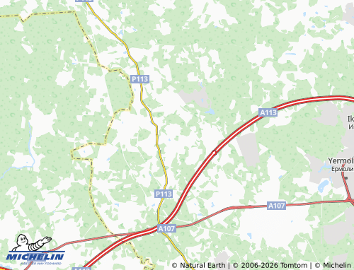 Carte MICHELIN Gul'nevo - ViaMichelin