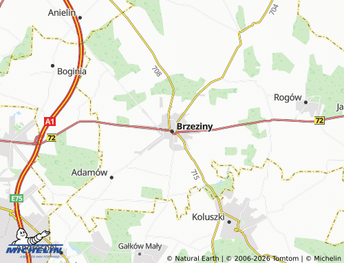 Carte MICHELIN Brzeziny - ViaMichelin