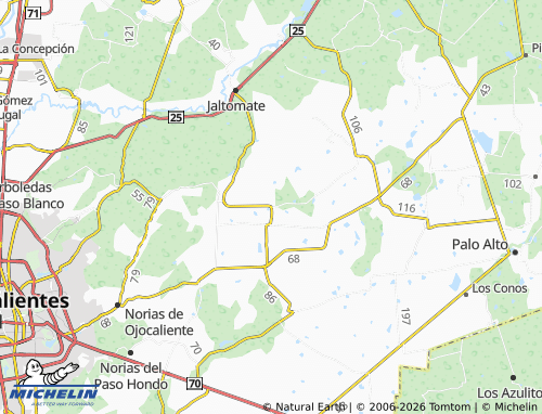 Carte MICHELIN Las Flores - ViaMichelin