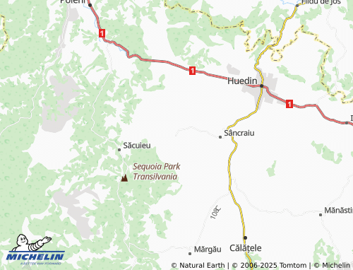 MICHELIN Alunișu map - ViaMichelin