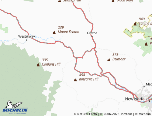 MICHELIN Bushy Park map - ViaMichelin