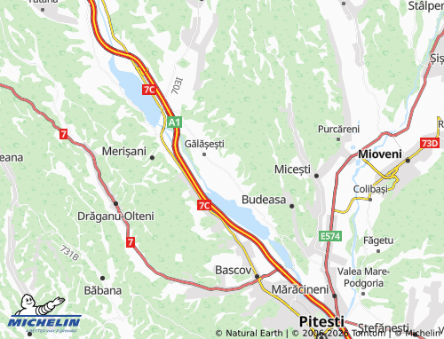 MICHELIN Rogojina map - ViaMichelin