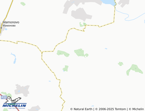 MICHELIN Chizhovo map - ViaMichelin