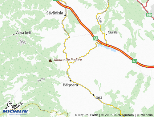 Mappa MICHELIN Filea De Sus - ViaMichelin