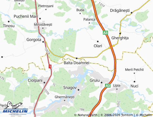 Mappa MICHELIN Balta Doamnei - ViaMichelin