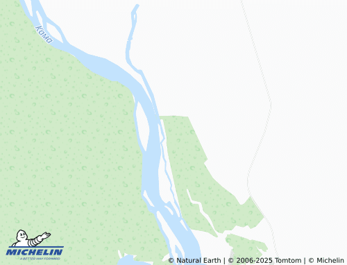 MICHELIN Nizhneye Moshevo map - ViaMichelin