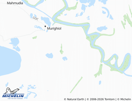 Mapa MICHELIN Dunavățu De Jos - ViaMichelin