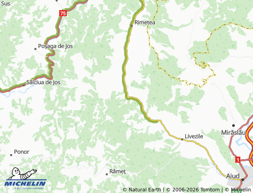 MICHELIN Vălișoara map - ViaMichelin