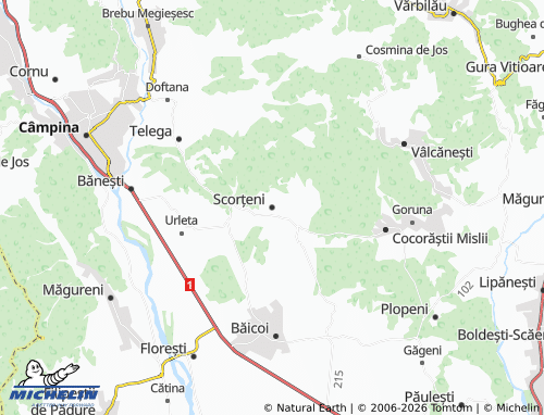 Carte MICHELIN Scorțeni - ViaMichelin