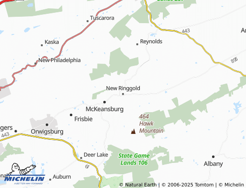 MICHELIN-Landkarte New Ringgold - ViaMichelin
