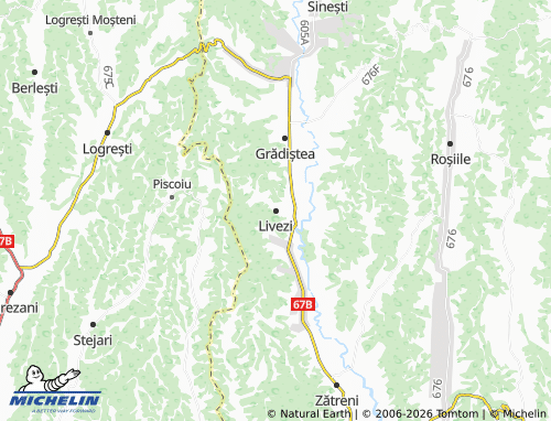 Carte MICHELIN Livezi - ViaMichelin
