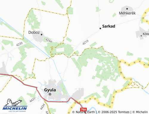 MICHELIN Városerdő map - ViaMichelin
