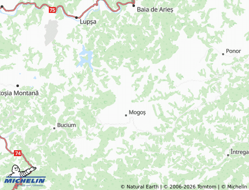 MICHELIN Mămăligani map - ViaMichelin