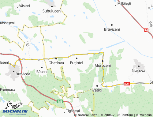 MICHELIN Puțintei map - ViaMichelin