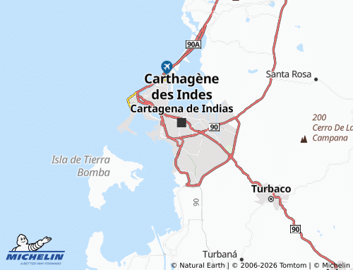 Mappa MICHELIN Nuevo Bosque - ViaMichelin