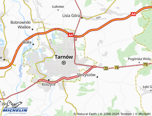 MICHELIN Zielone map - ViaMichelin