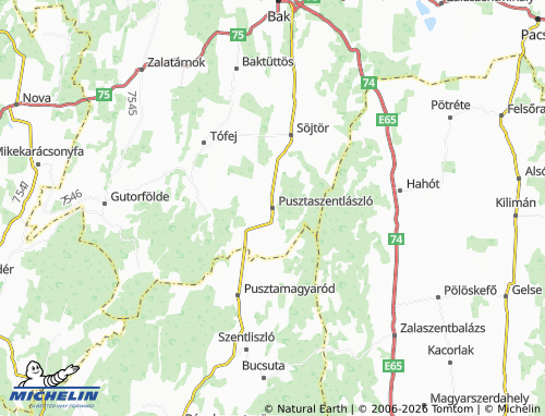 MICHELIN Pusztaszentlászló map - ViaMichelin