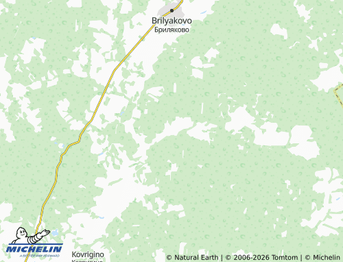 MICHELIN-Landkarte Drozdovo - ViaMichelin