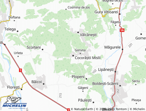 Mappa MICHELIN Cocorăștii Mislii - ViaMichelin