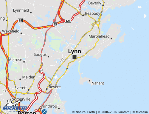 Mappa MICHELIN Lynn - ViaMichelin