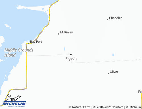 MICHELIN Pigeon map - ViaMichelin