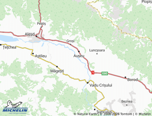 MICHELIN Cacuciu Vechi map - ViaMichelin