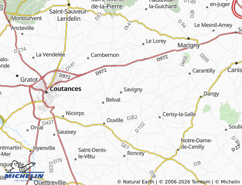 MICHELIN Savigny map - ViaMichelin