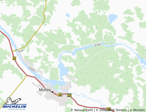 Mapa MICHELIN Leppiniemi - ViaMichelin